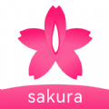 sakura live Mod Apk Unlimited Money Latest Version 5.1.4