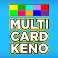 Multi Card Keno 20 Hand Game