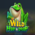 Wild Hop&Drop Slot Apk Download 2024  1.0