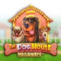 The Dog House Megaways slot apk download for android  1.0.0