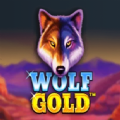 Wolf Gold Slot Apk Free Download for Android  1.0