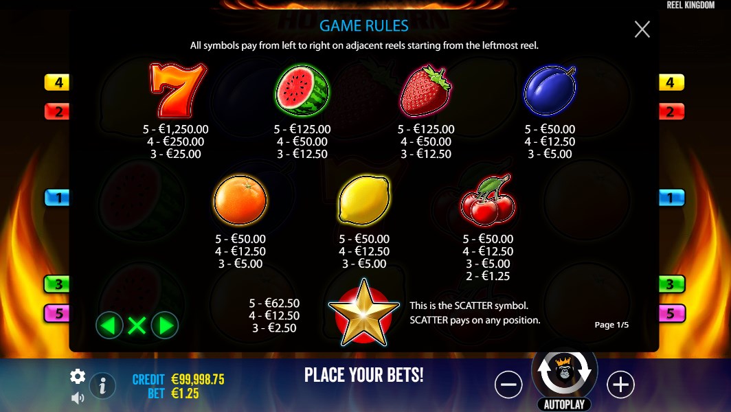 Hot to Burn slot game download for android  1.0.0 screenshot 2