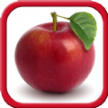 Fruits and Vegetables for Kids mod apk latest version  9.4