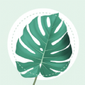 PlantMe Plant identification apk free download latest version  2.0.1