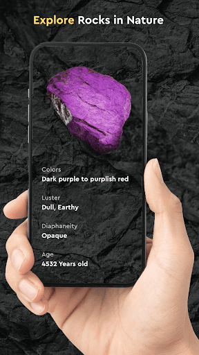 Rock Identifier by Photo app free download latest versionͼƬ1