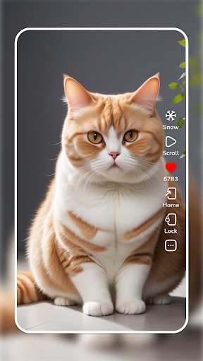 Cat Wallpaper Cute Aesthetic apk free download for androidͼƬ1