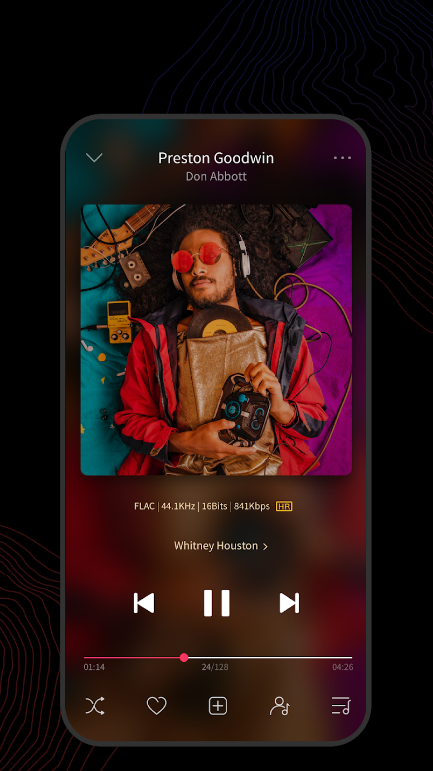 FiiO Music App Free Download Latest Version  3.2.1 screenshot 2