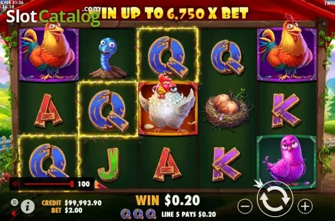 The Tweety House slot apk download for android  v1.0 screenshot 3