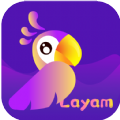 LaYam Group Voice Chat app