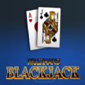 Multihand Blackjack Slot Apk D