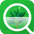 Plant Scanner & Identification apk latest version download  1.2