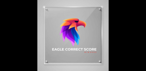 Eagle Correct Score apk download latest versionͼƬ1