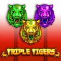 Triple Tigers pragmatic play