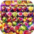 Magic Fruits apk download for