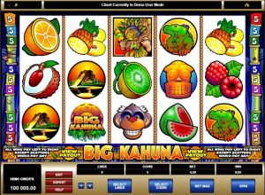 Big Kahuna slot machine apk download for androidͼƬ1