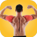 Shoulder Workout at Home app free download latest version  1.0