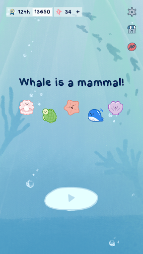 Whale is a Mammal Suika Game download for androidͼƬ2