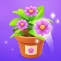 Triple Blossom apk