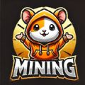 Hamster Kombat Listing app