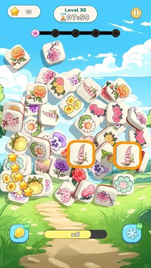 Blossom Pair Paradise apk download for androidͼƬ2