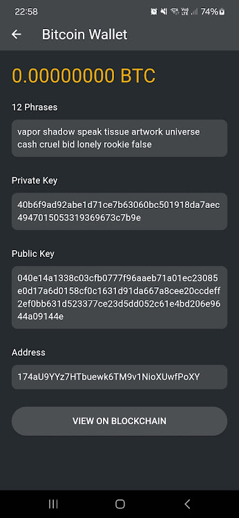 Lost Bitcoin Wallet Finder github apk latest version  1.0.0 screenshot 3