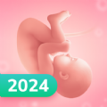 Pregnancy and Due Date Tracker app download free latest version  3.111.0