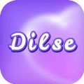 Dilse Live Chat & Connect app