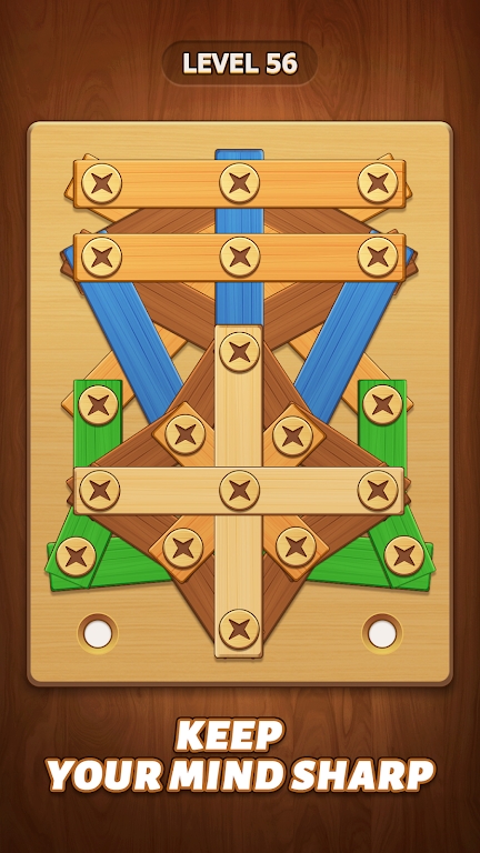 Nuts Bolts Puzzle Wood Screw apk download latest version  1.5 screenshot 1