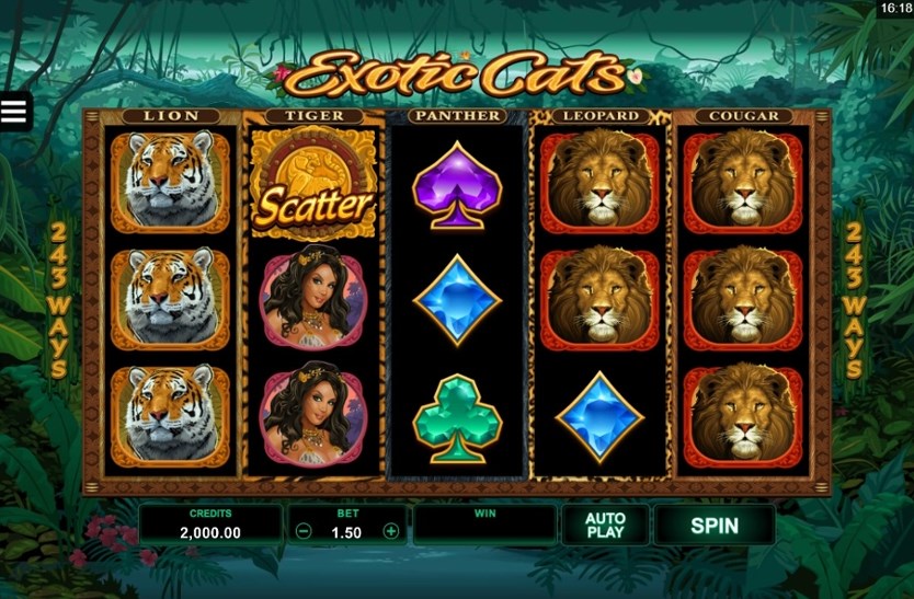 Exotic Cats slot apk download latest version  1.0.0 screenshot 2