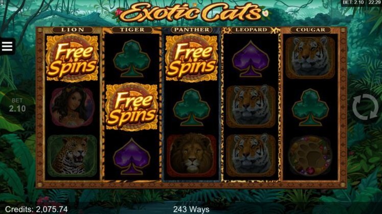 Exotic Cats slot apk download latest version  1.0.0 screenshot 1