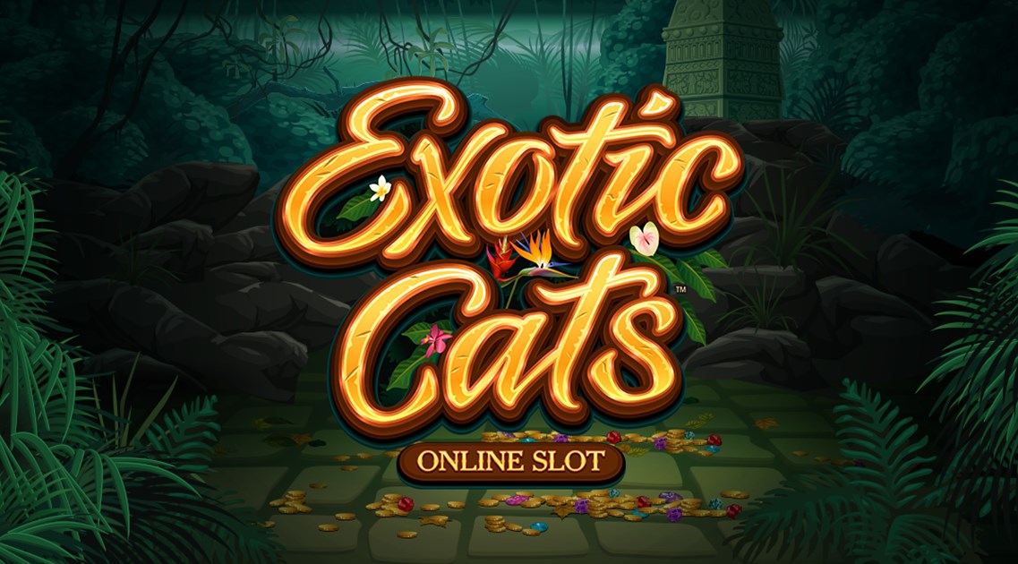 Exotic Cats slot apk download latest version  1.0.0 screenshot 3