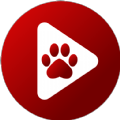 Bear Player app download for android  2.19.5