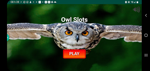 Owl Slots apk download latest version  1.0.27 screenshot 1