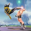 Karate Combat Fighting Game apk download latest version  1.0.2