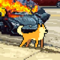 Walk Street Animals apk download latest version  1.0.0