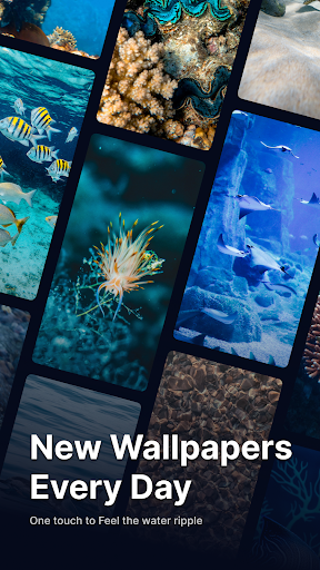 WaterRipple Live Wallpapers HD app free download  1.0.1 screenshot 3