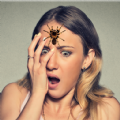 Spider Face Prank GUIDE apk