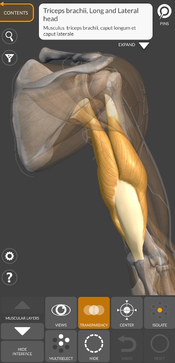 3D Anatomy for the Artist App for Android Download  6.0.0 screenshot 4