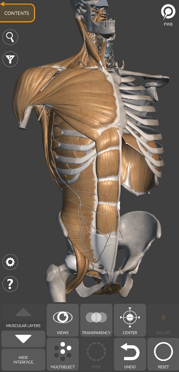 3D Anatomy for the Artist App for Android Download  6.0.0 screenshot 3