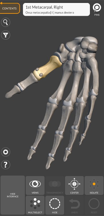 3D Anatomy for the Artist App for Android Download  6.0.0 screenshot 2