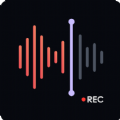 Voice Recorder & AI Summarize