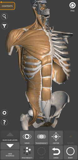 3D Anatomy for the Artist mod apk premium unlocked latest version  6.0.0 screenshot 4