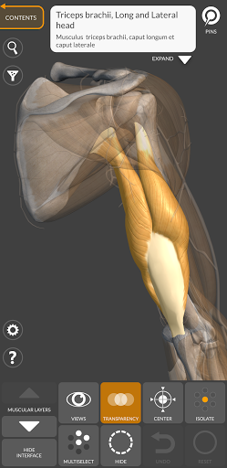 3D Anatomy for the Artist mod apk premium unlocked latest version  6.0.0 screenshot 3