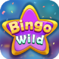 Bingo Wild free coins hack apk