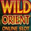 Wild Orient Slot Apk Free Download v1.0