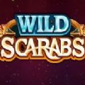 Wild Scarabs Slot Android Latest Version  v1.0