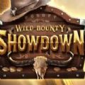 Wild Bounty Show apk download