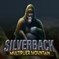 Silverback Multiplier Mountain