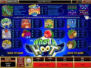 What a Hoot slot mod apk latest versionͼƬ1