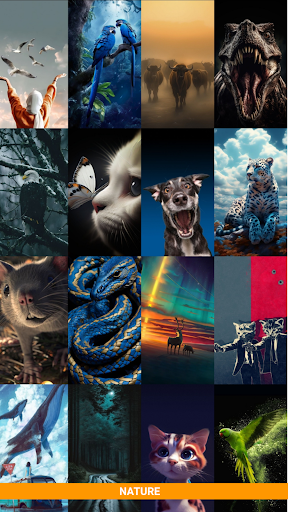 Wollo Wallpapers app download latest version  1.0 screenshot 5